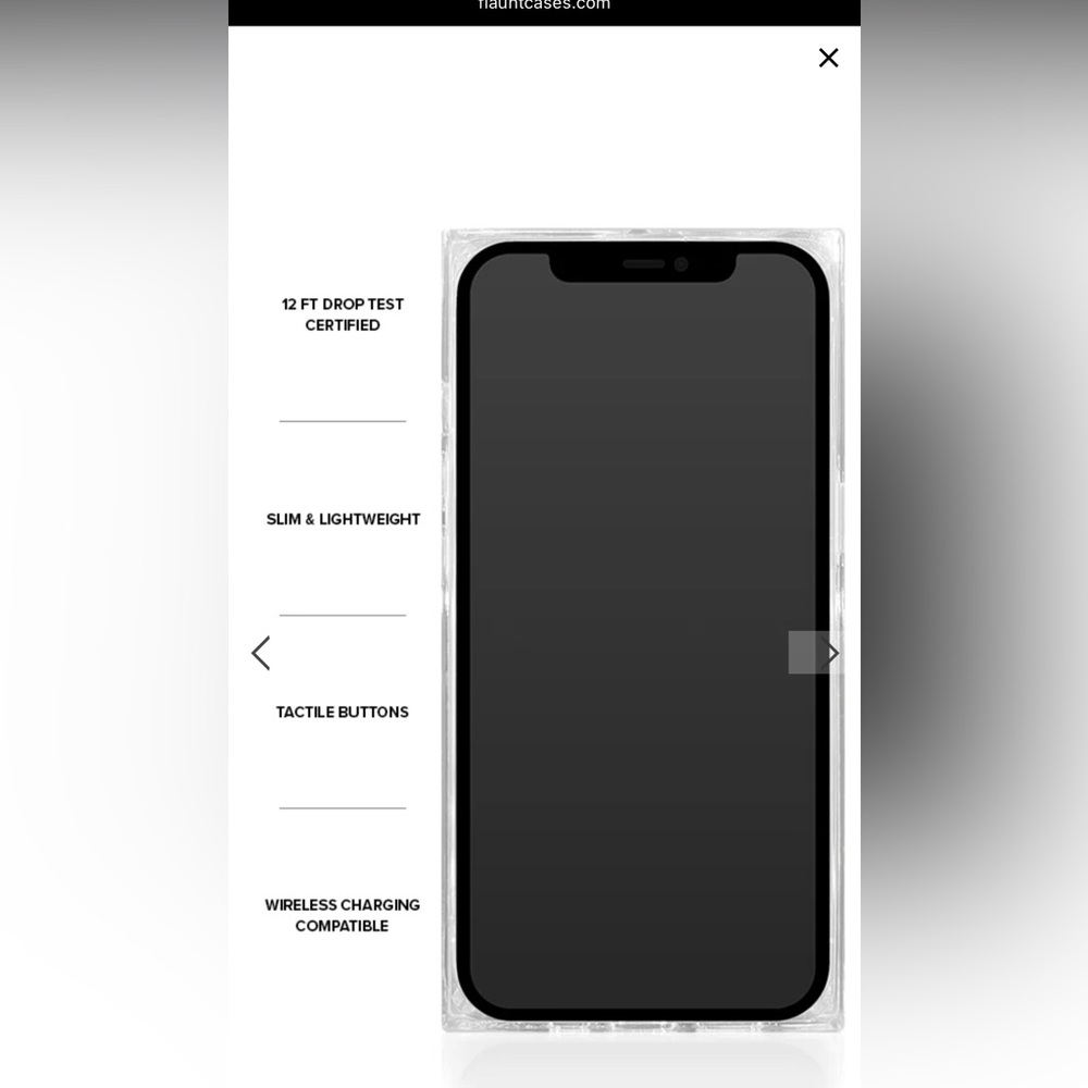 Flaunt iPhone 16 pro max case - Picture 7 of 8